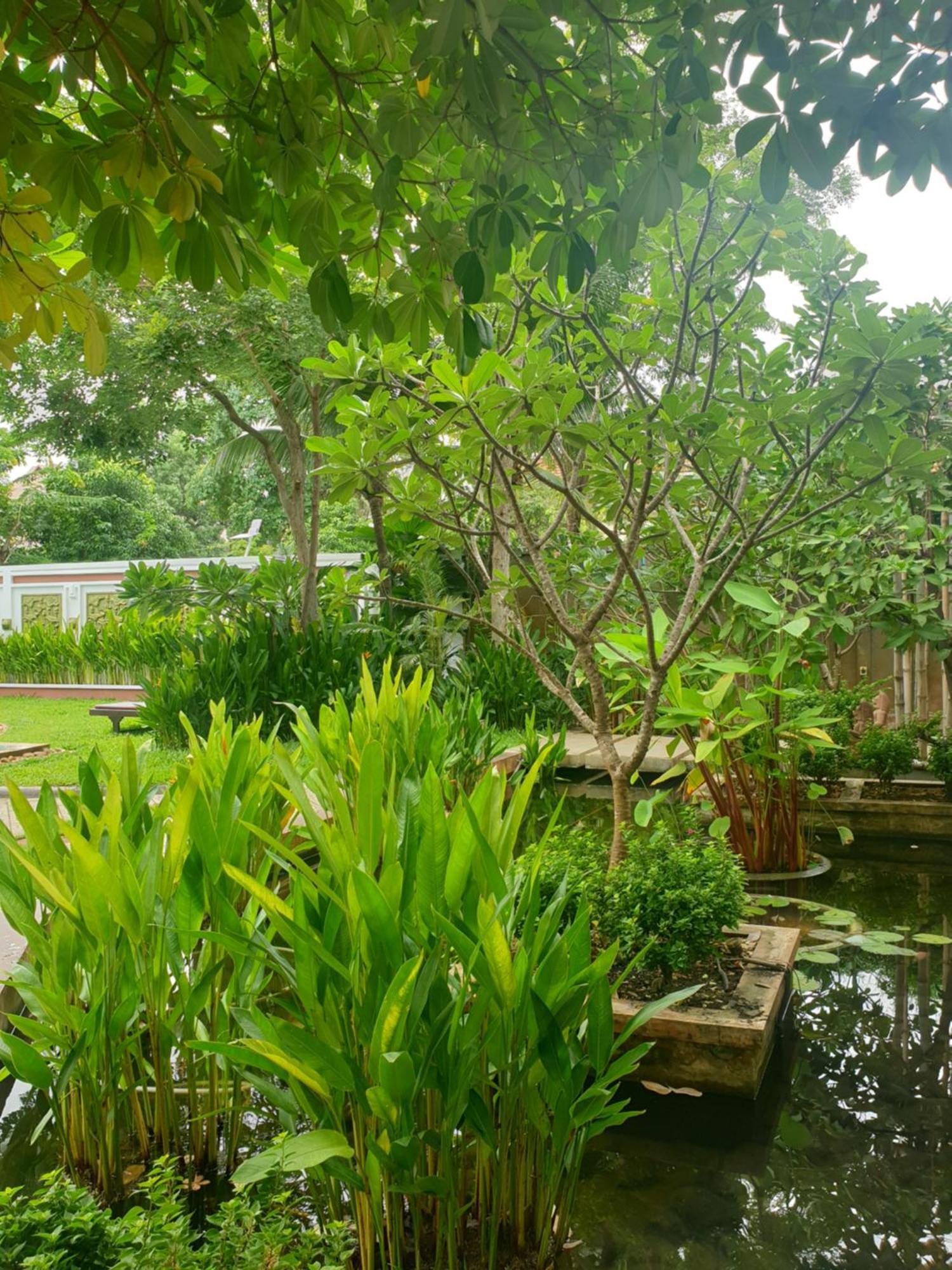 Bamboo Retreat Villa シェムリアップ エクステリア 写真